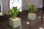Glass In Public Spaces
