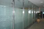 Corporate Office Renovation