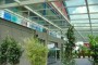 Skylight & Canopy System