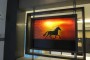 Work of Art Glass