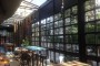 Glass Roof Skylight